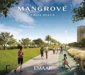 Mangrove at Creek Beach